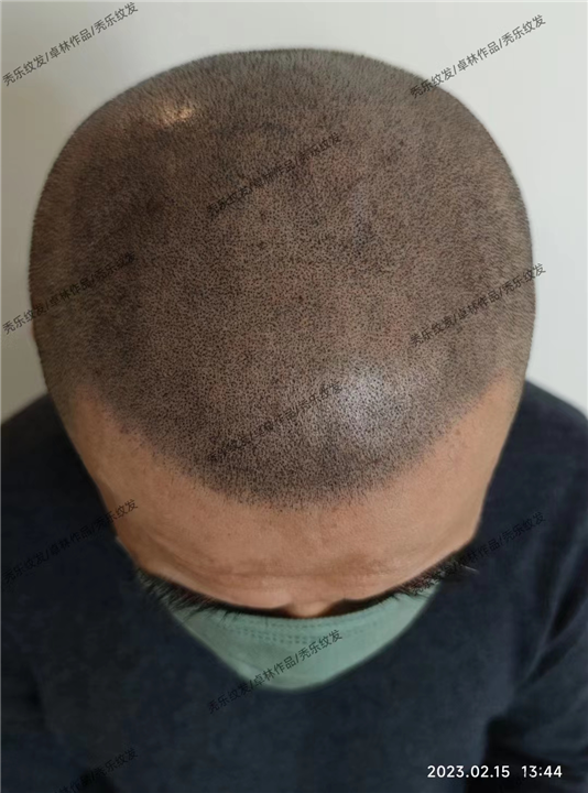 【北京纹发】纹发可以使用纹身的色素吗