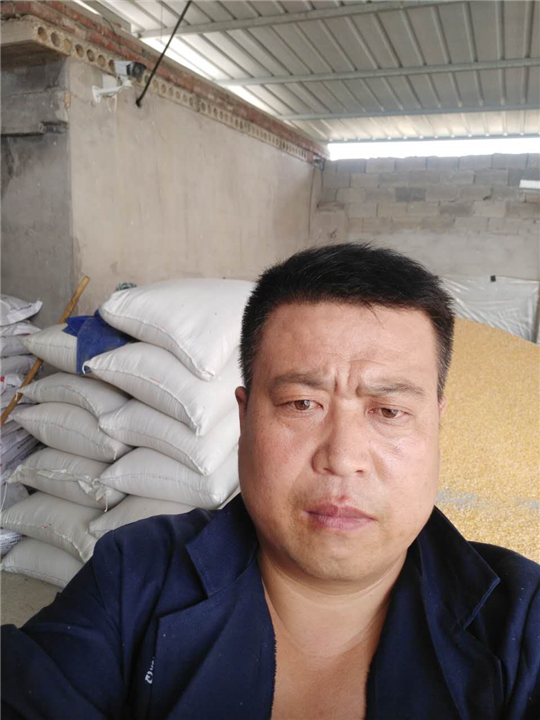 秀锋巴马香猪 