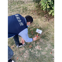 泉州小区灭白蚁