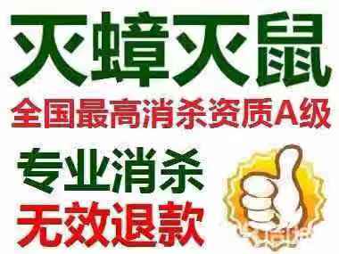 泉州杀虫公司如何调查蟑螂密度 
