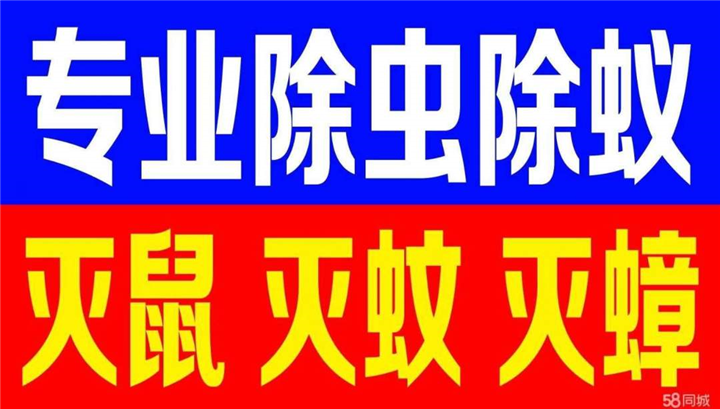 石狮灭白蚁如何正确合理的除虫 
