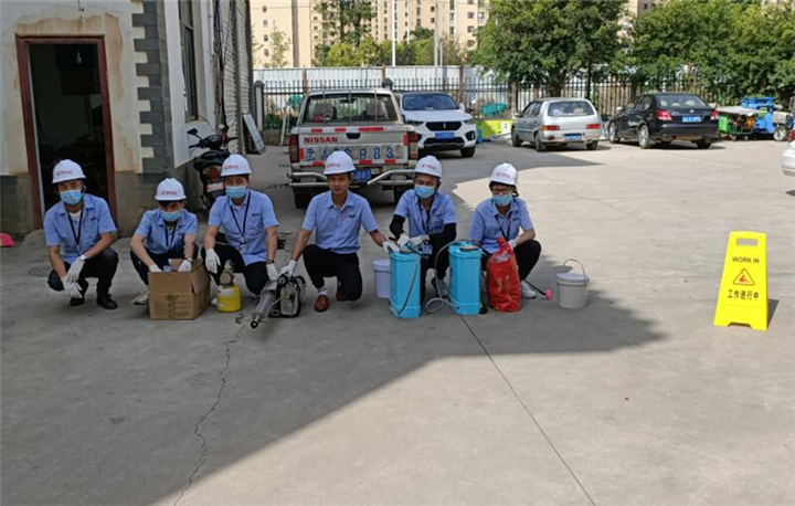 义乌专业杀虫公司 