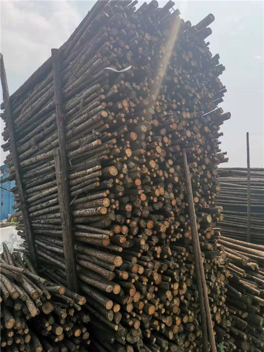 绍兴松木桩