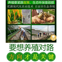 人工养殖青蛙技术_增加养殖收益 