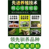 国内青蛙养殖基地_总结出一整套科学养殖方法 
