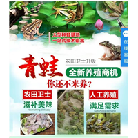 青蛙怎么养殖_不论大小养户一律以诚相待 