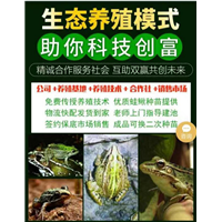 湖北青蛙养殖_**驯养繁殖许可证 
