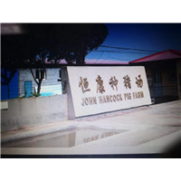 恒康养殖欢迎各位咨询 