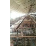大城县恒康养殖场 