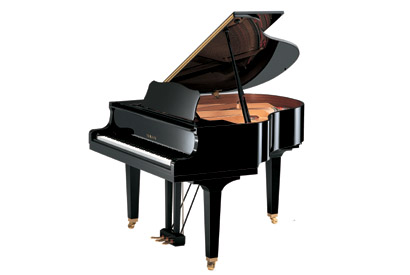 YAMAHA GB1 