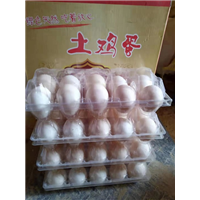 大量出售鸡蛋 