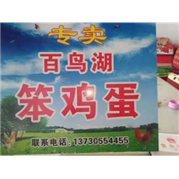 大量出售绿色养殖纯笨鸡蛋 