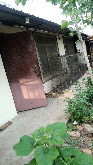 肃宁县银峰养殖场 