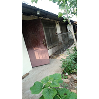 本场大量出售优质银狐皮