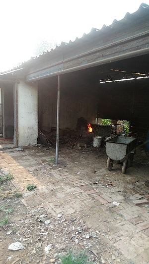 水貂养殖大量出售水貂皮 