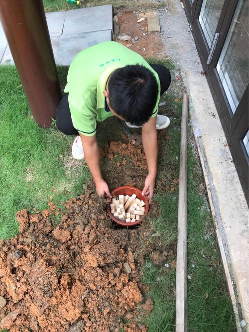 晋江商业楼白蚁防治怎么收费