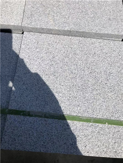 芝麻白5