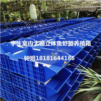 工厂化鱼虾蟹立体水产养殖箱养龙虾应注意的问题 