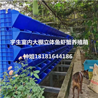 室内大棚立体水产养殖箱