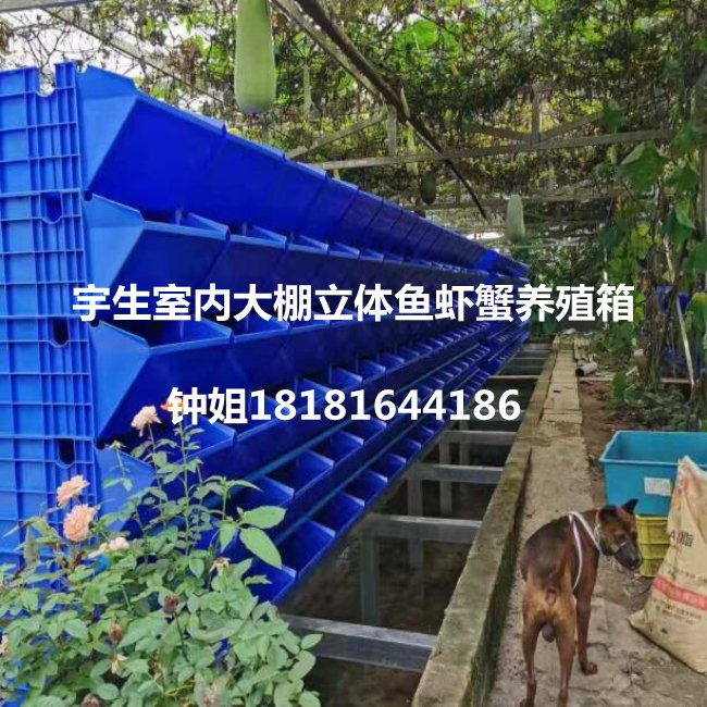 室内大棚立体水产养殖箱