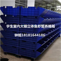 工厂化立体鱼虾蟹养殖箱龙虾养殖误区 