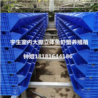 工厂化立体鱼虾蟹水产养殖设备淡水龙虾的池塘养殖方法 