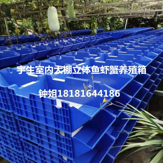 工厂化鱼虾蟹立体水产养殖箱养龙虾应注意的问题 