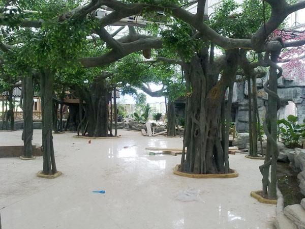 假树