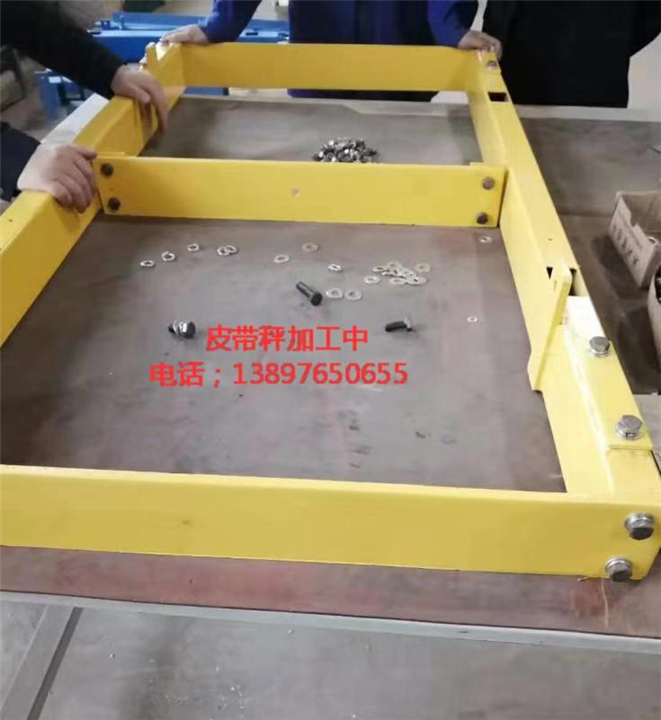 西宁输送机皮带秤