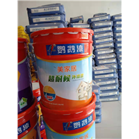 内外墙漆 