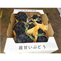 北镇葡萄 