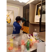 世纪花苑室内甲醛治理