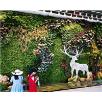 植物墙