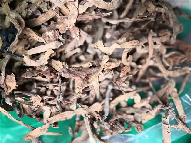 河北中药材洋金花供应商 
