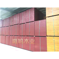 福建建筑模板出售