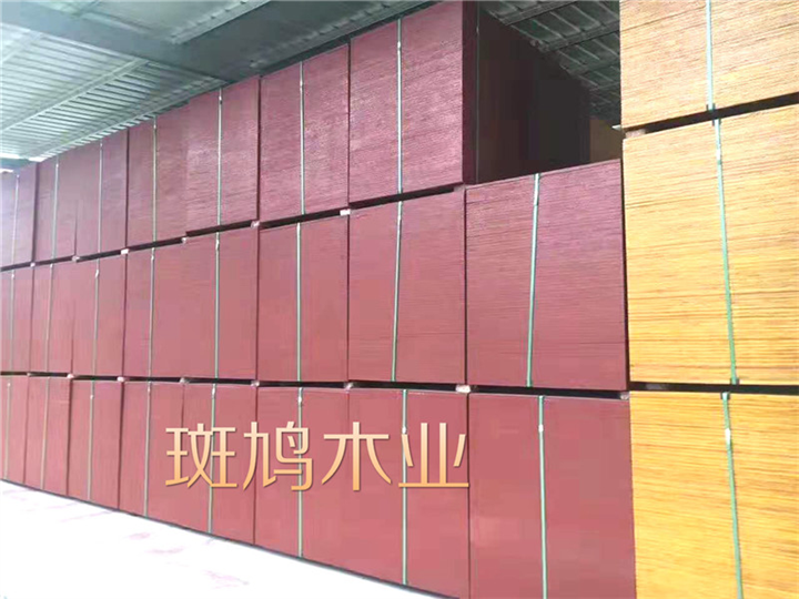 福建建筑模板出售