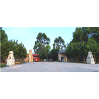 福建建筑模板出售电话