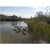 乌鲁木齐公墓地址 