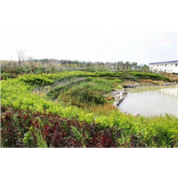 新疆九龙生态园墓地 