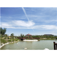 乌鲁木齐福寿园墓地景观 