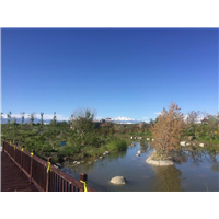 乌鲁木齐福寿家园墓地 