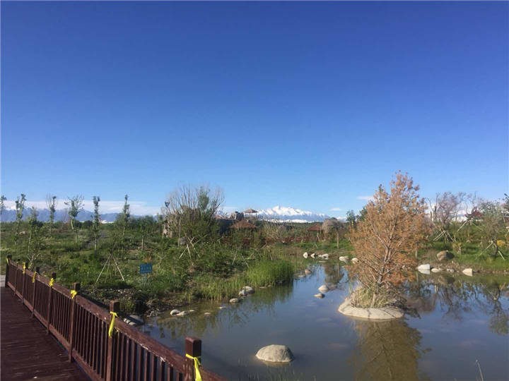 乌鲁木齐福寿家园墓地 