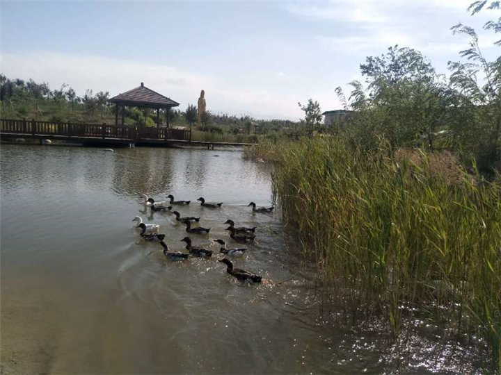 乌鲁木齐公墓地址 