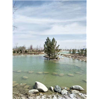 乌鲁木齐公墓地址