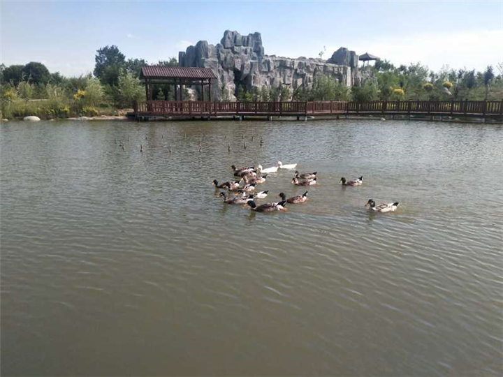 乌鲁木齐福寿园景观 