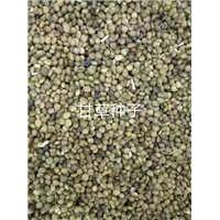 内蒙古药材价格 