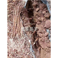 药材生产厂家 