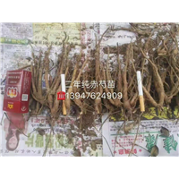 药材厂家报价 