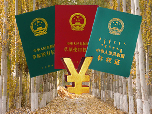 林权****评估 