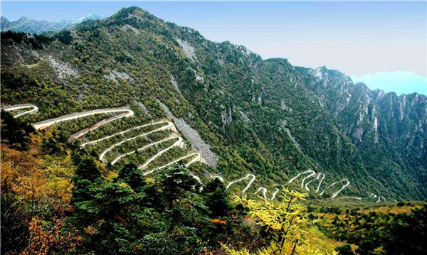 森林保险评估 